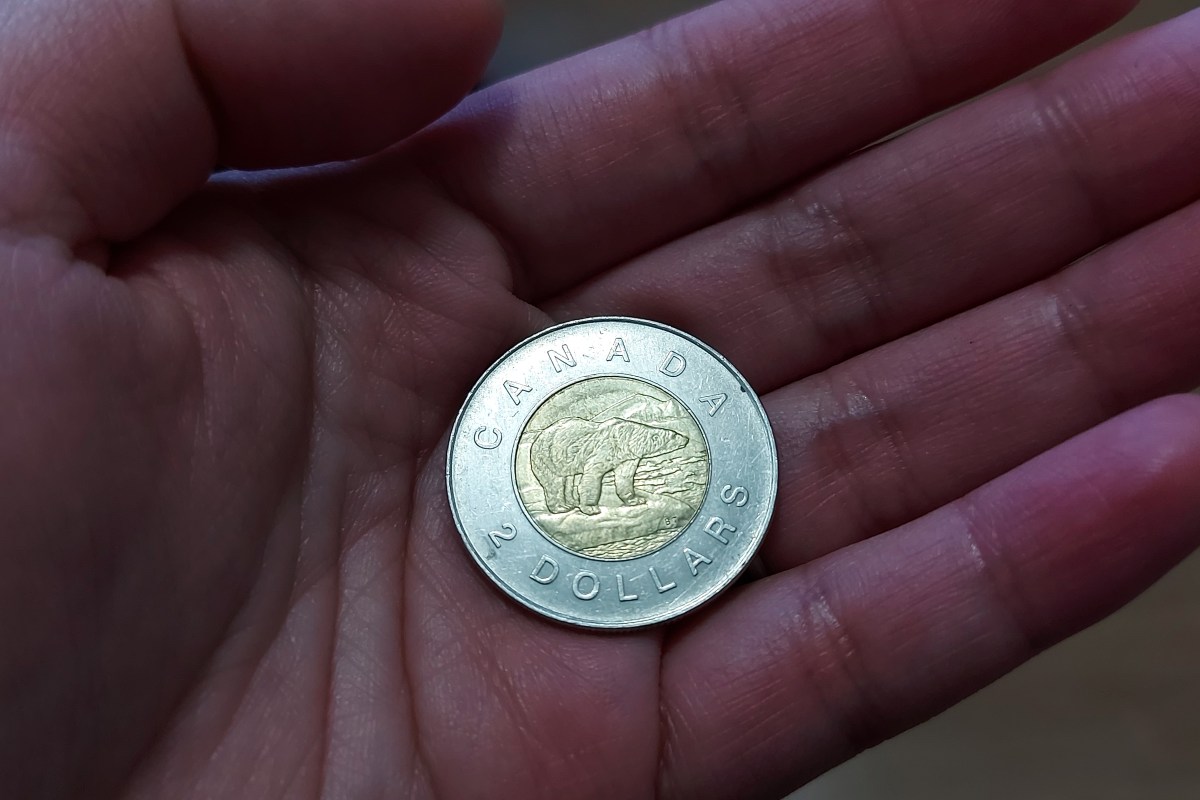 Closeup of a hand holding a Canadian two-dollar coin.